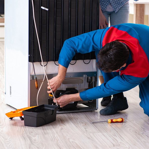can you repair all types and brands of refrigerators in Norwegian